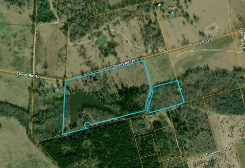 0 County Road 119, Elkhart, TX, 75839 | Card Image