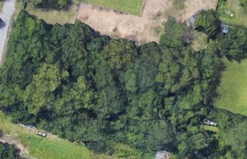 0 E Maxroy St, Houston, TX, 77088 | Card Image