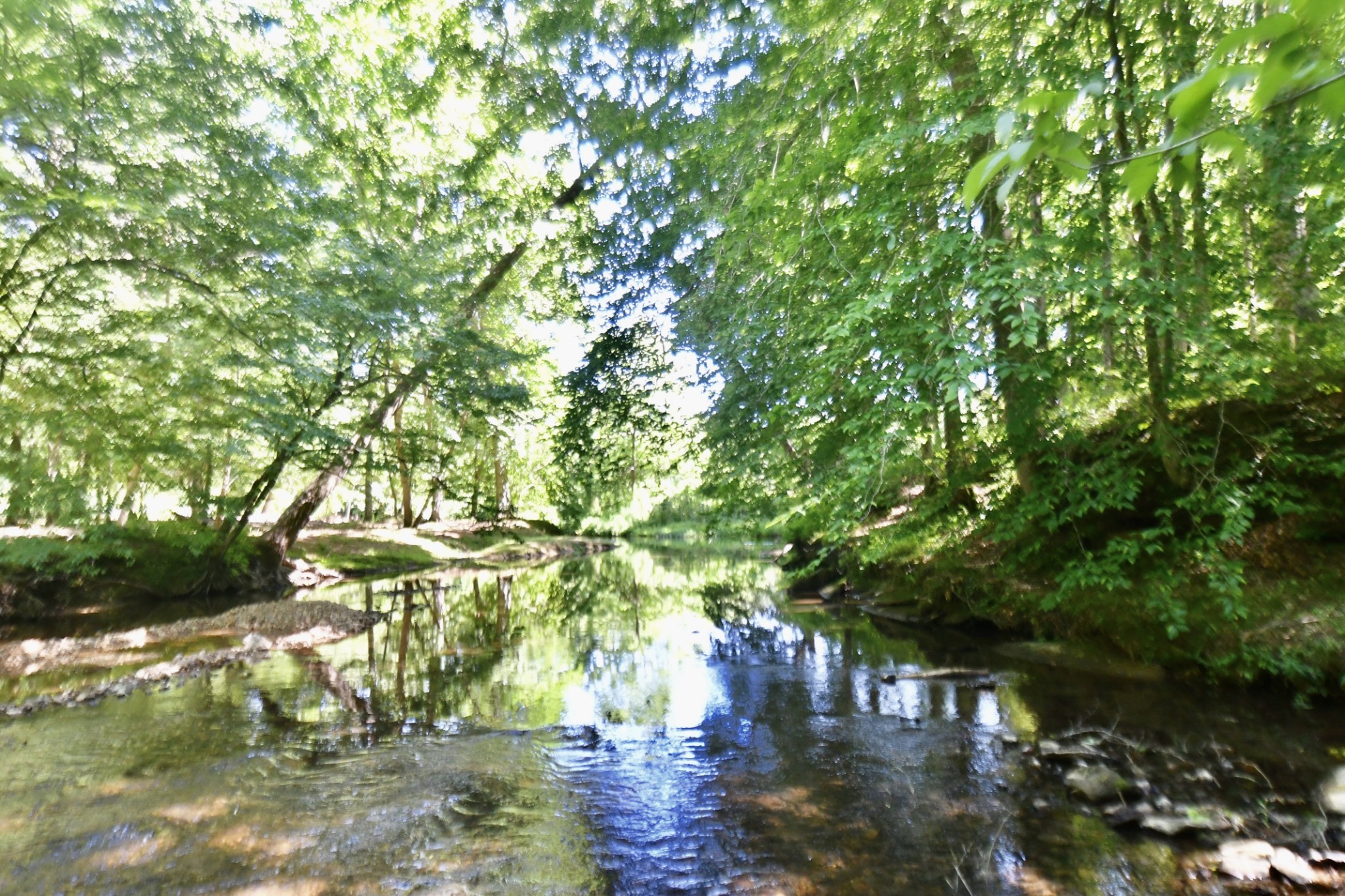 Turner Sims Rd, Hohenwald, TN 38462