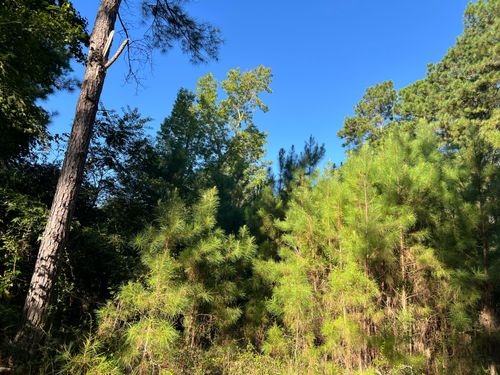 1060 Quail Path Rd, Santee, SC, 29142 | Card Image