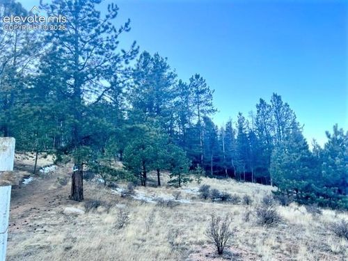 233 Rabbil Creek Trl, Florissant, CO, 80816-7175 | Card Image