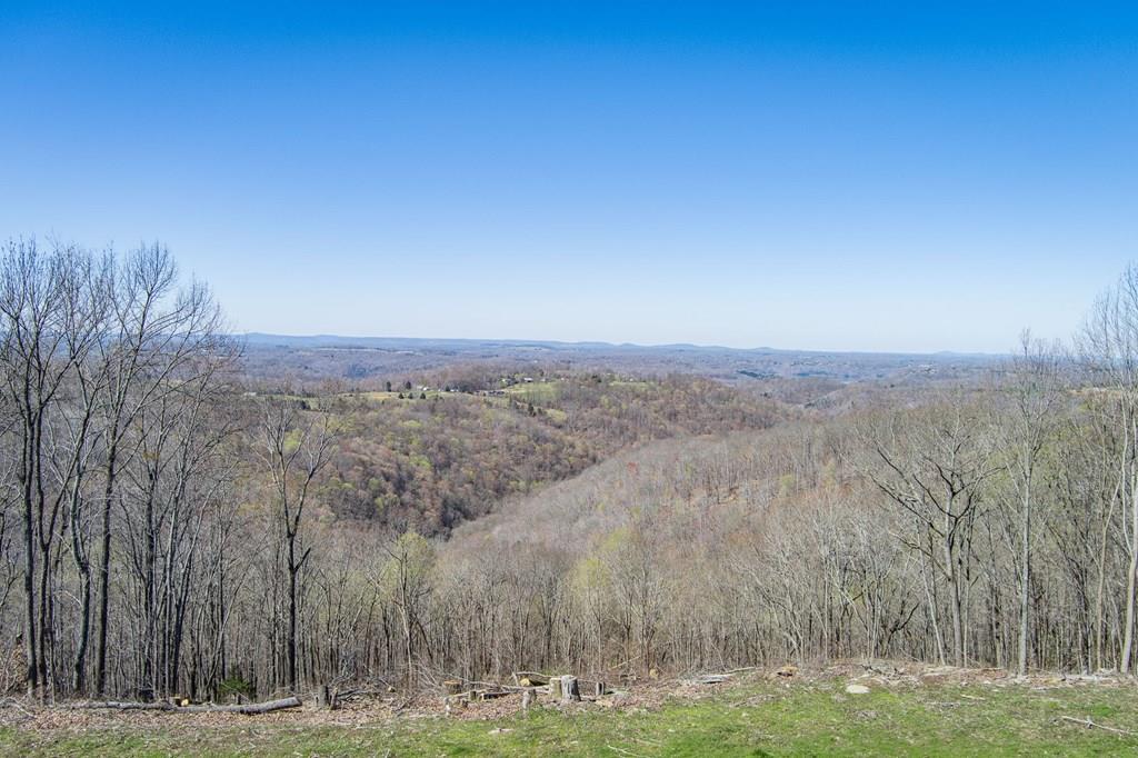 Land in Byrdstown