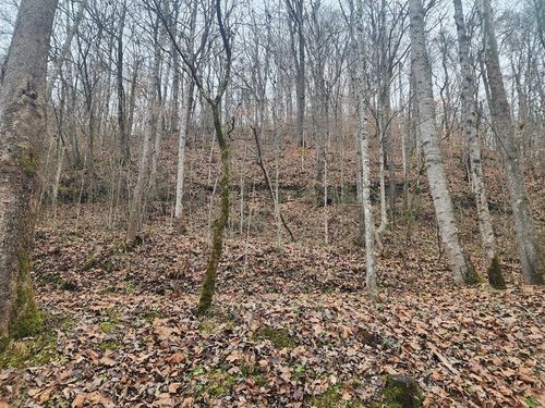 00 Stumbo Subdivision, Prestonsburg, KY, 41653 | Card Image