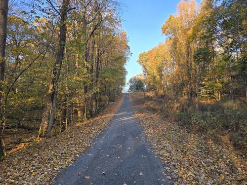 14 Rockcastle Rd, Cadiz, KY, 42211 | Card Image