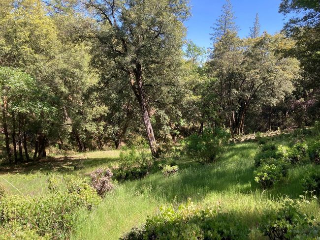 16688 Sonshine Ln, Home with 0 bedrooms, 0 bathrooms and null parking in Sutter Creek CA | Image 57