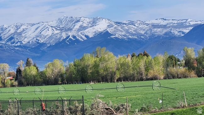 Mountain view | Image 23