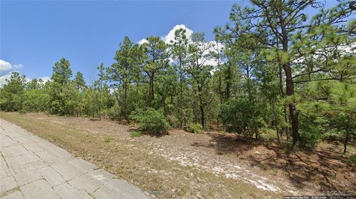 9870 N Lathyrus Ter, DUNNELLON, FL, 34433-4089 | Card Image