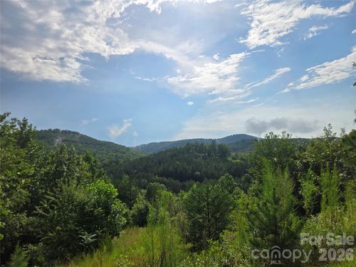 161-0 Pinegrove Drive, Bostic, NC, 28018 | Card Image