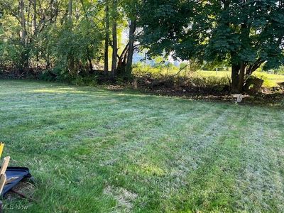 View of backyard | Image 3