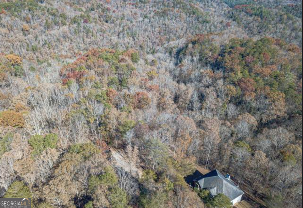 Land in Dahlonega 2