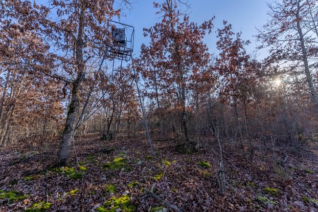 23 Acres014 | Image 16