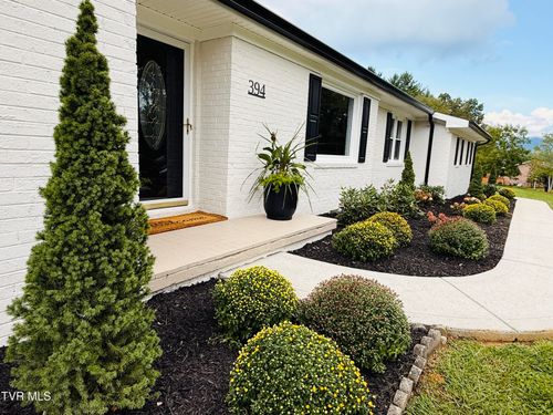 394 Cedar St, Mountain City, TN, 37683-1578 | Card Image