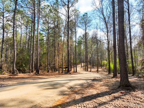 11 Black Belt Nature And Hrtg Trl, Auburn, AL, 36830 | Card Image