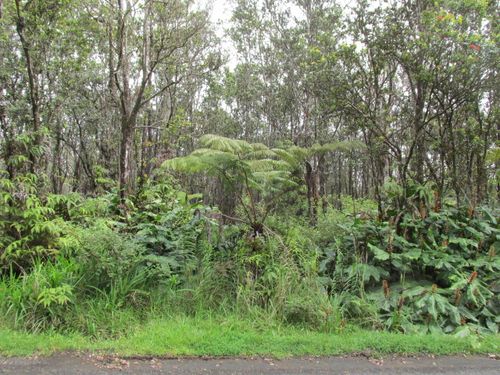 11-3086 Puolani St, VOLCANO, HI, 96785 | Card Image