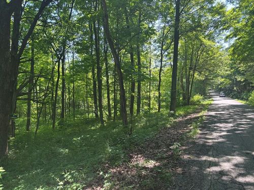 0 Nace Corner Rd, Latham, OH, 45646 | Card Image