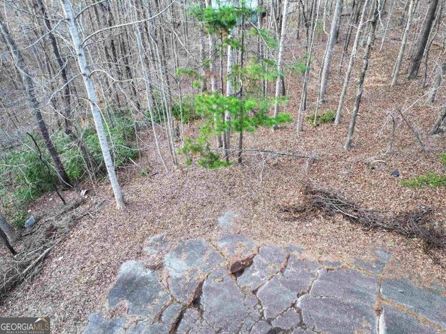 0 Eagle Ct, Home with 0 bedrooms, 0 bathrooms and null parking in Toccoa GA | Image 4