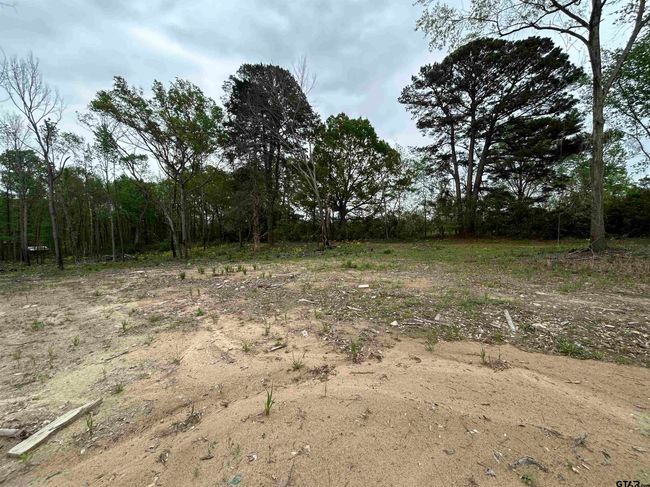 513 State Highway 323 E, Home with 0 bedrooms, 0 bathrooms and null parking in Overton TX | Image 4