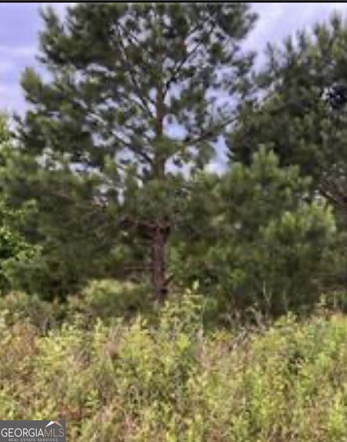 0 Sandy Dr, Hawkinsville, GA, 31036 | Card Image