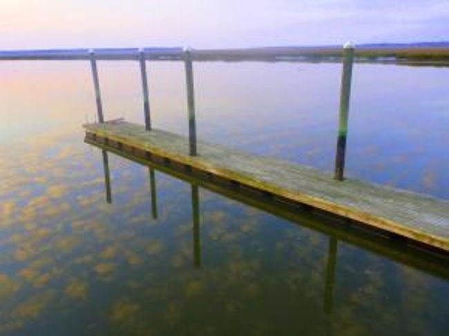 000 Lake Side Dr Ne, Home with 0 bedrooms, 0 bathrooms and null parking in Townsend GA | Image 7