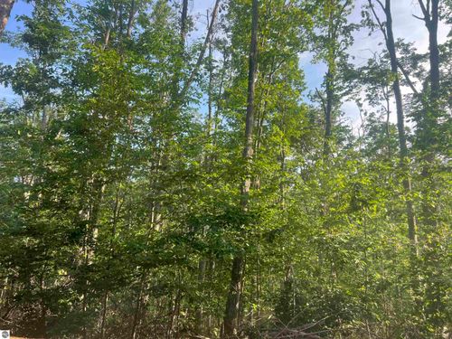 Lot 388 Wyndwood Dr, Mancelona, MI, 49659 | Card Image