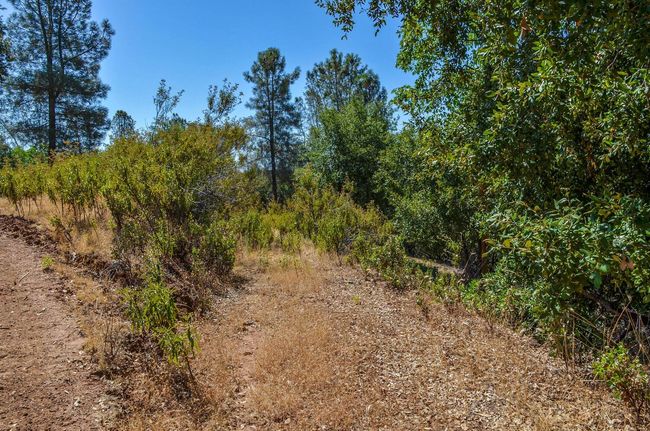 16688 Sonshine Ln, Home with 0 bedrooms, 0 bathrooms and null parking in Sutter Creek CA | Image 31