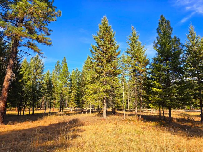 19 Faro Ln, Home with 0 bedrooms, 0 bathrooms and null parking in Trout Creek MT | Image 6