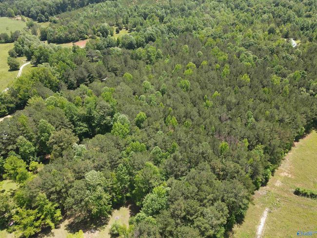 1081 Abel Rd, House other with 2 bedrooms, 1 bathrooms and null parking in Delta AL | Image 34