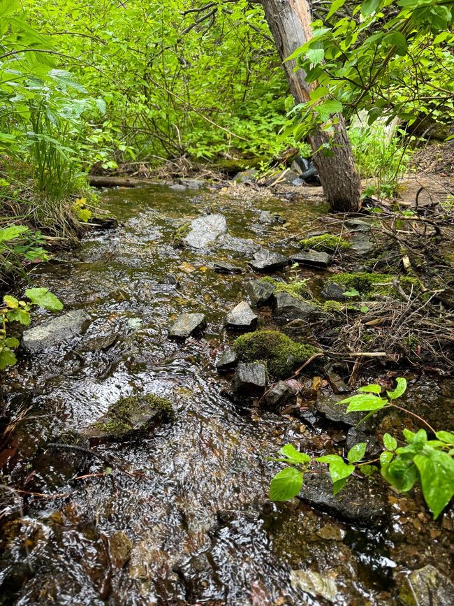 Creek on adjoining State land | Image 8