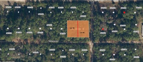 336 Gardenia Ave, Georgetown, FL, 32139 | Card Image