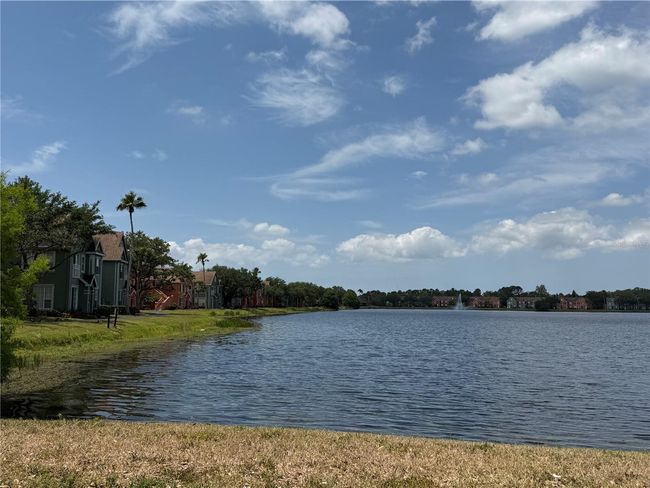 9650 - 9650 Lake Chase Island Way, Condo with 1 bedrooms, 1 bathrooms and null parking in TAMPA FL | Image 23