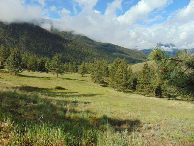 27235 Lazy Springs Rd, Home with 0 bedrooms, 0 bathrooms and null parking in Clinton MT | Image 16