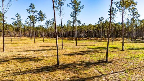 Lot 19 Big Buck Drive, Moscow, TX, 75960 | Card Image