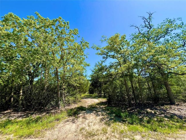 357 Oak Holw, Home with 0 bedrooms, 0 bathrooms and null parking in Caldwell TX | Image 10
