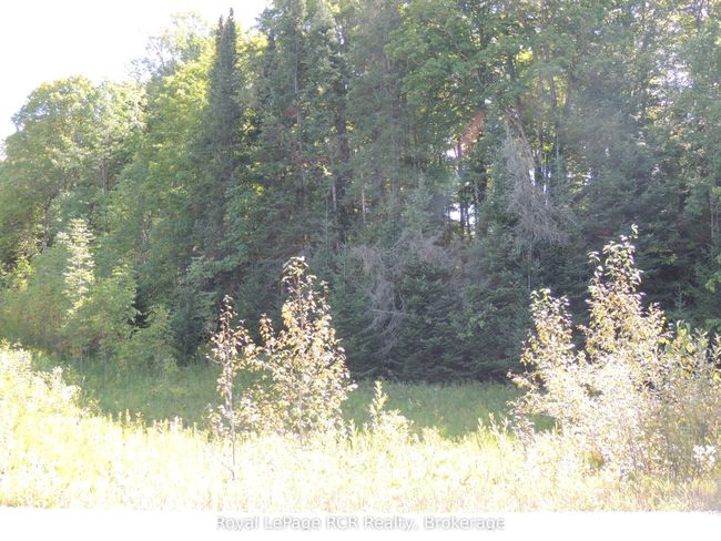 LT 35 Highland Dr, Home with 0 bedrooms, 0 bathrooms and null parking in Markdale ON | Image 5