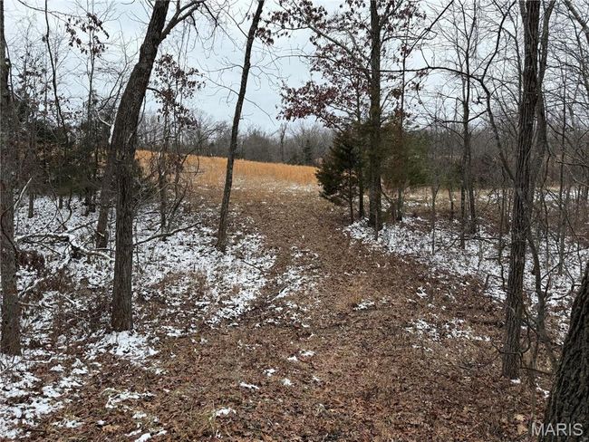 2 Bcr 924, Home with 0 bedrooms, 0 bathrooms and null parking in Patton MO | Image 4