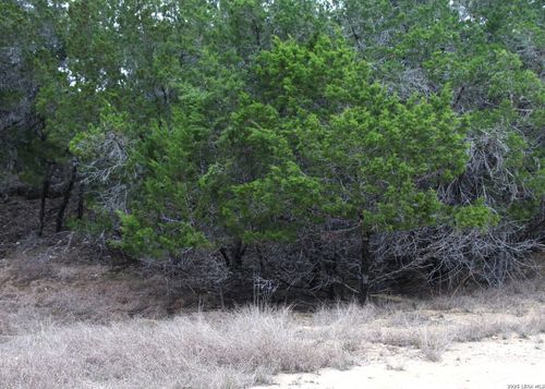169 Red Bluff Rd, Pipe Creek, TX, 78063-5439 | Card Image