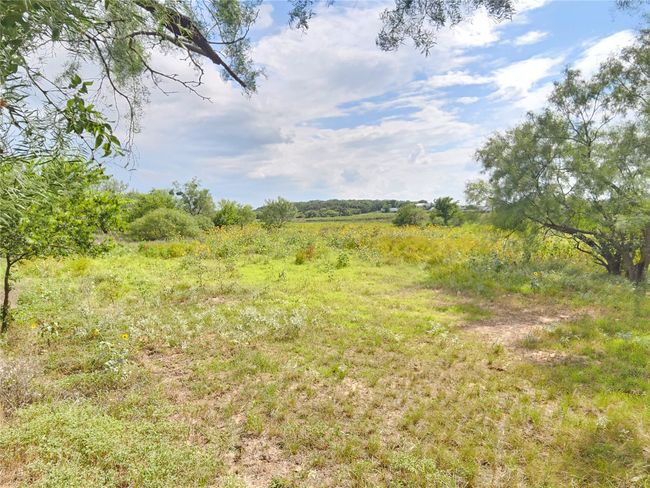 View of nature | Image 6