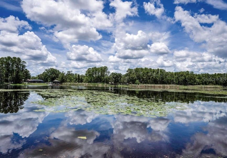 Land in LAND O LAKES 4