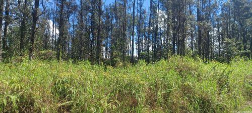 6th Ooaa Road, MOUNTAIN VIEW, HI, 96771 | Card Image