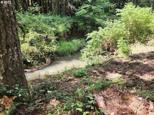 501 Carpenter Byp, Lorane, OR, 97451 | Card Image