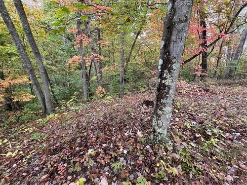 0 Crystal Springs Dr, Winfield, WV, 25213 | Card Image