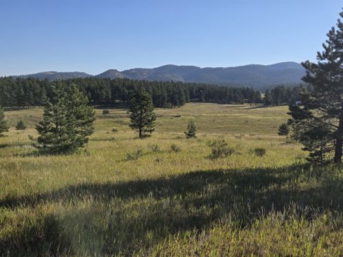755 Black Fawn Ln, Westcliffe, CO, 81252 | Card Image