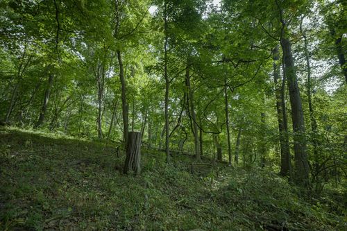 4820 Kopper Pond Rd, HANOVER, IL, 61041-9501 | Card Image