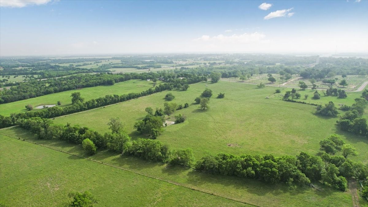 Land in Honey Grove 4