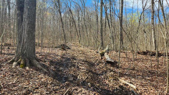 TRACT-1-PIKE-LAKE-GETAWA - 0 Pike Lake Rd, Home with 0 bedrooms, 0 bathrooms and null parking in Bainbridge OH | Image 29