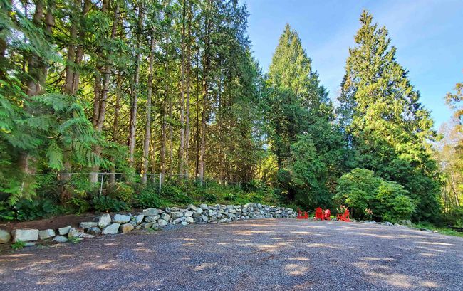 View of street with a forest view | Image 27