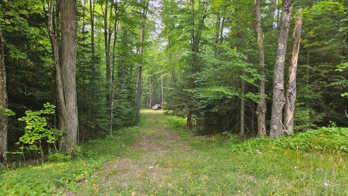 Off Cth K, Conover, WI, 54519 | Card Image