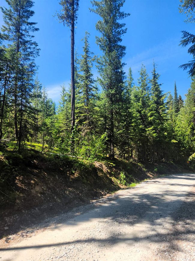 7450 Ruby Creek Rd, Home with 0 bedrooms, 0 bathrooms and null parking in Cusick WA | Image 9