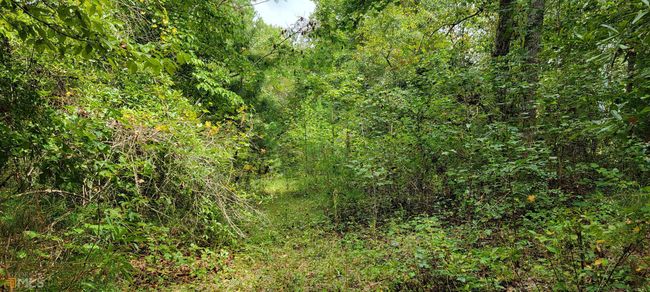 0 E Silver Shoals Rd, Home with 0 bedrooms, 0 bathrooms and null parking in Toccoa GA | Image 10