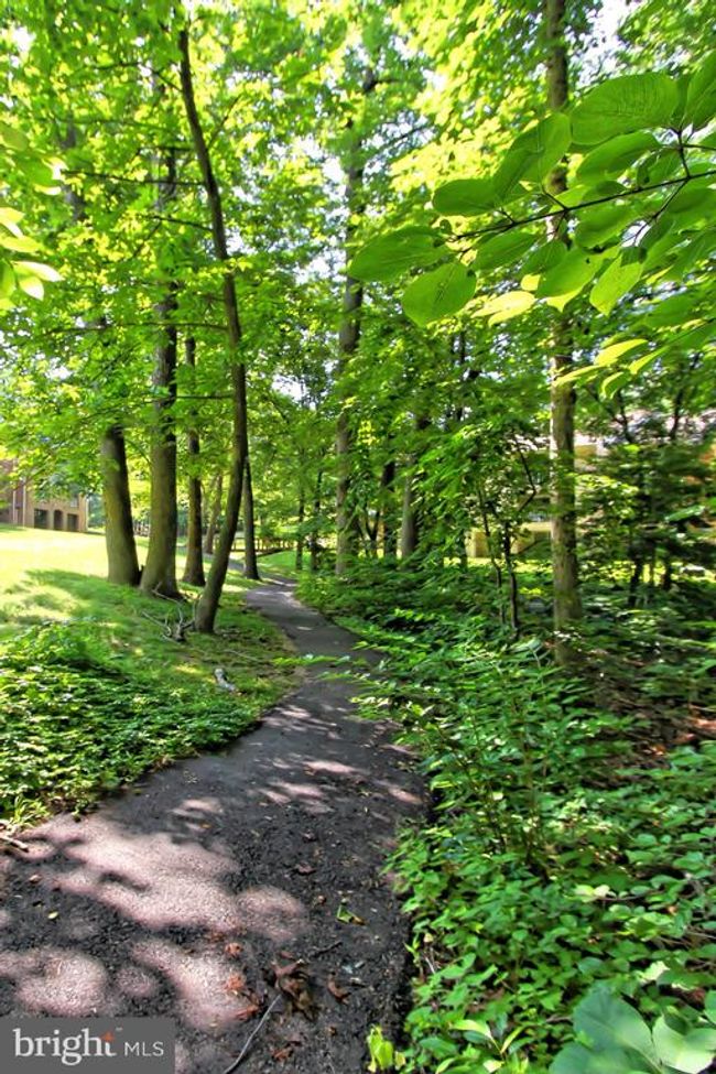 APT-102 - 5920 Cove Landing Rd, Condo with 2 bedrooms, 2 bathrooms and null parking in BURKE VA | Image 32
